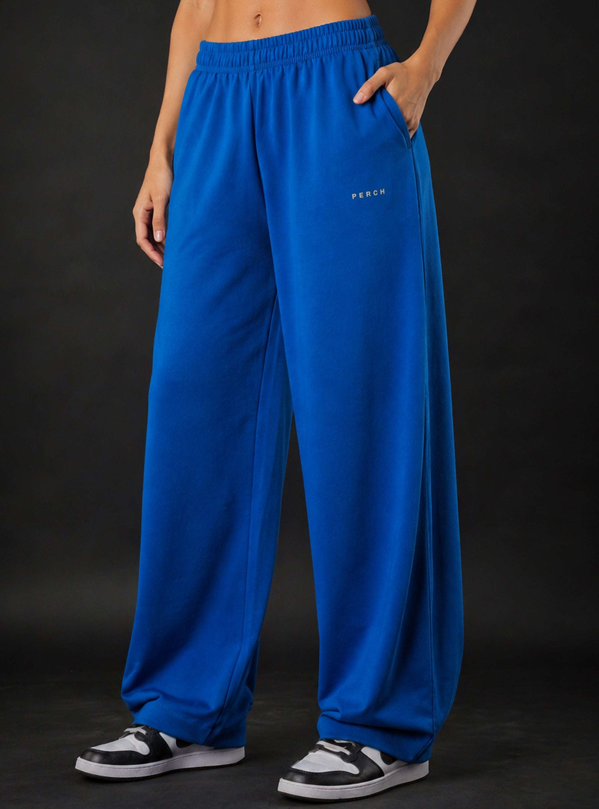 Royal Blue Baggy Mid Rise Cotton Jogger for Men & Women