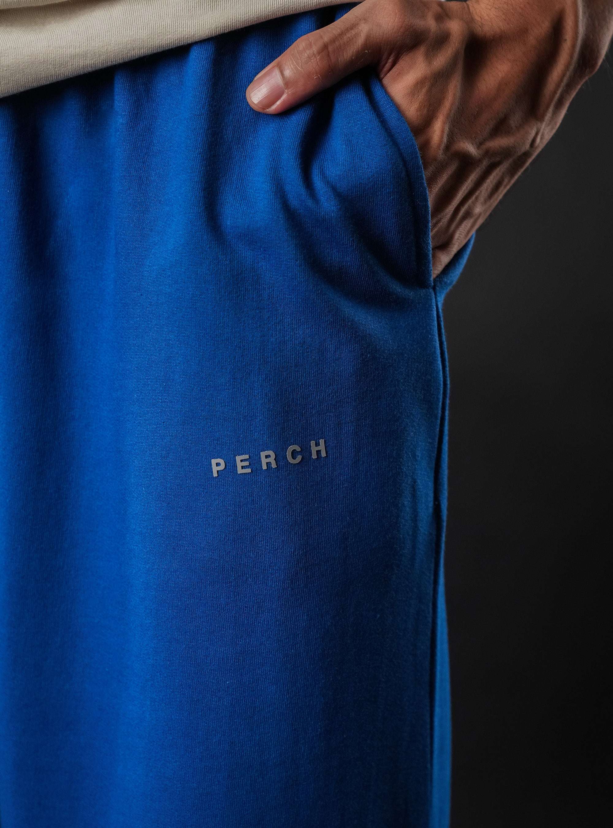 Royal Blue Baggy Mid Rise Cotton Jogger for Men & Women