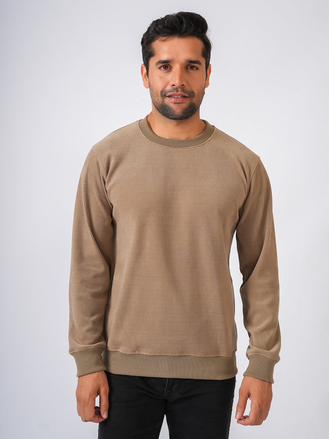 Fawn Solid textured Sweat Knit Sweater