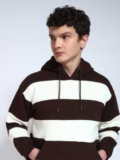Brown Striped Regular Fit Hoodie Sweatshirt